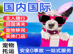 大水泊航空运输国际宠物托运 【国